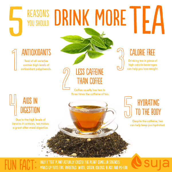 Benefits of Drinking Tea