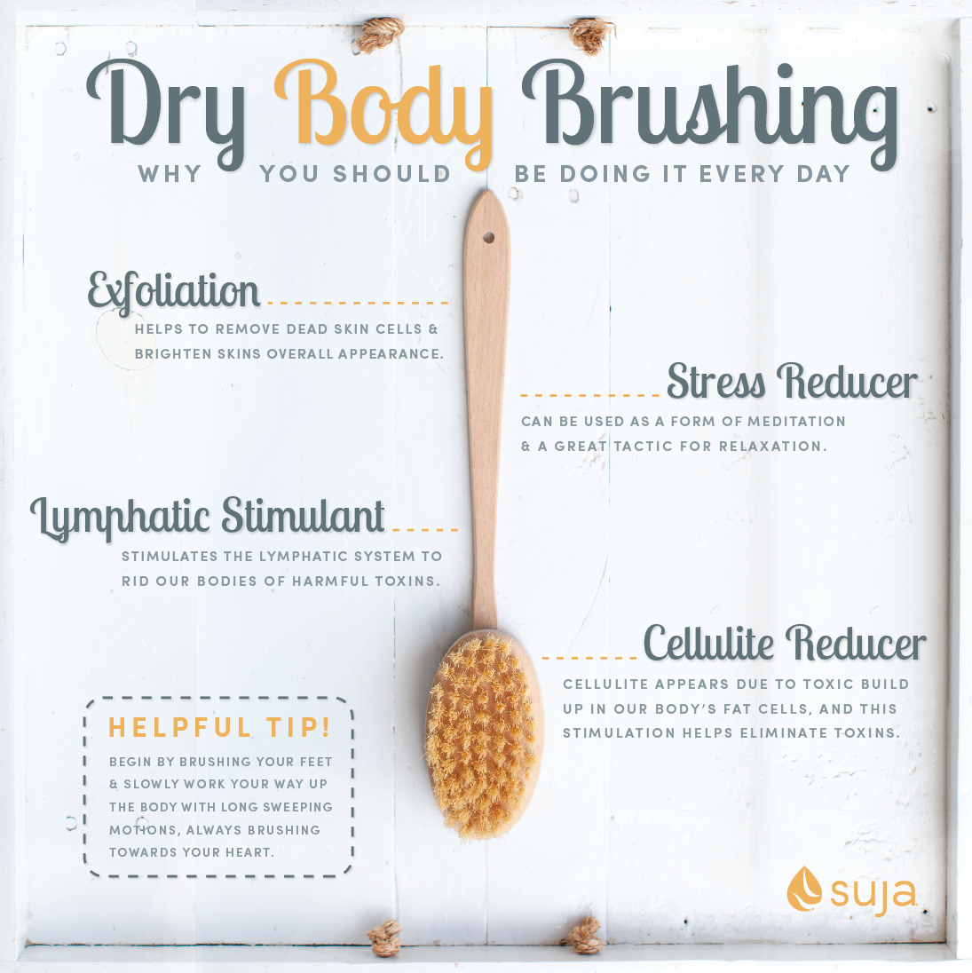 Dry body cheap brush benefits