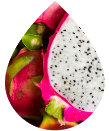 Dragonfruit