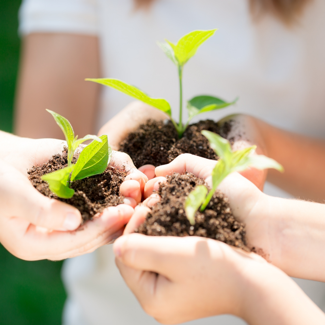 Hands holding soil.