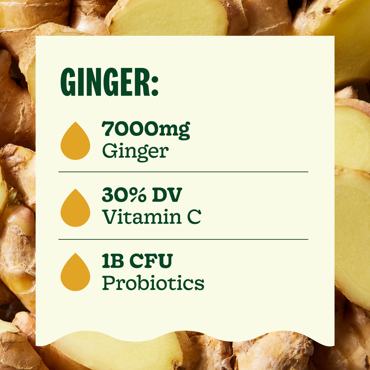 Ginger Shot With Probiotics & Antioxidants | Wellness Shots – Suja Organic