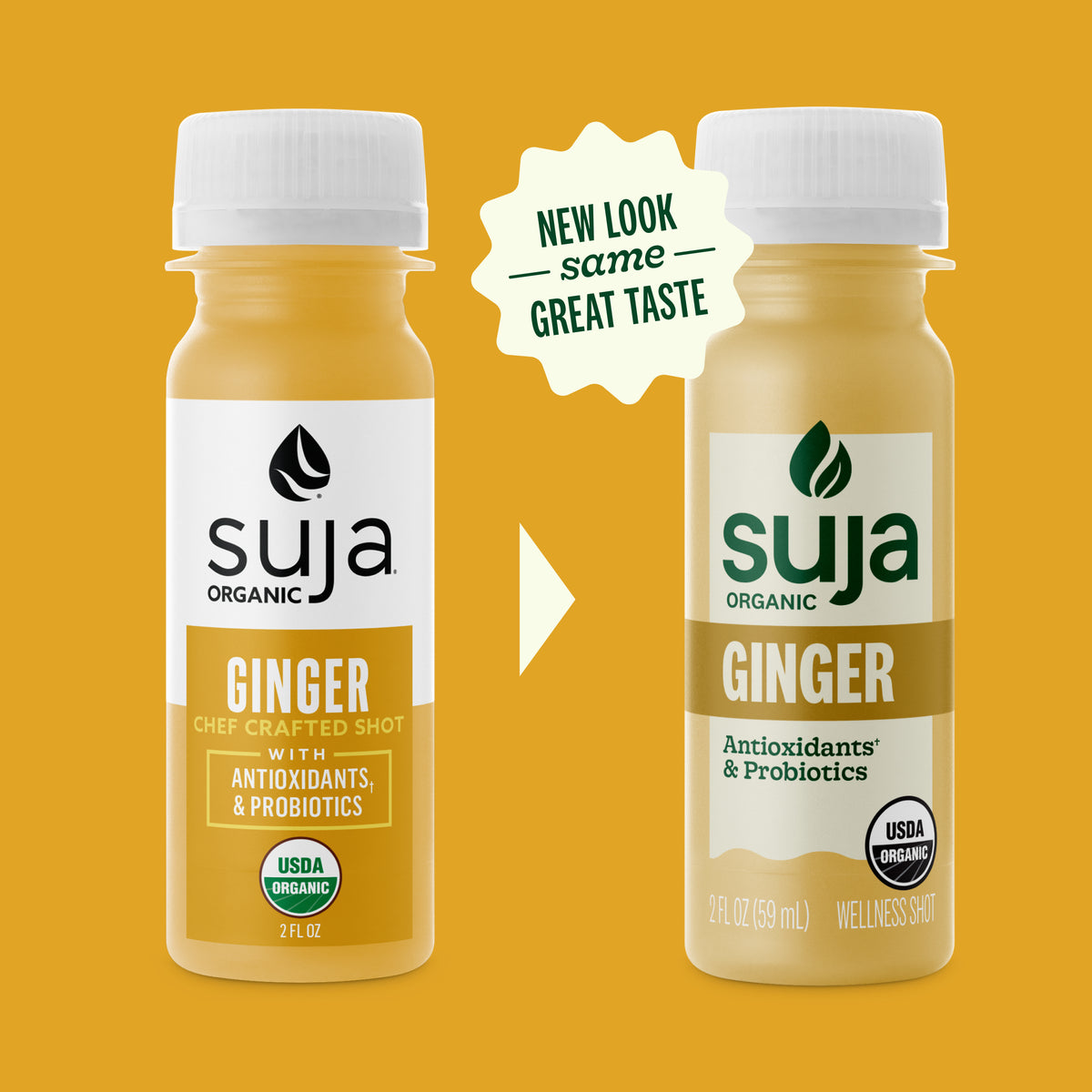 Ginger Shot With Probiotics & Antioxidants | Wellness Shots – Suja Organic