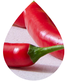 Cayenne for a Kick