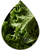 Full Serving of Greens