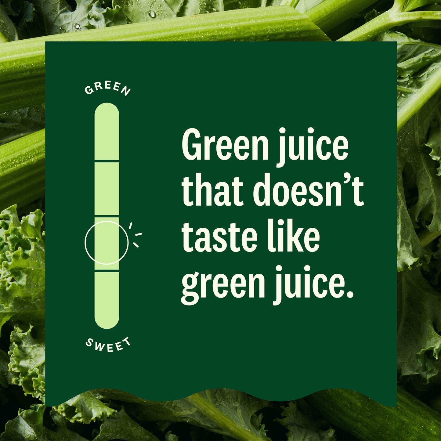 Sunrise Greens