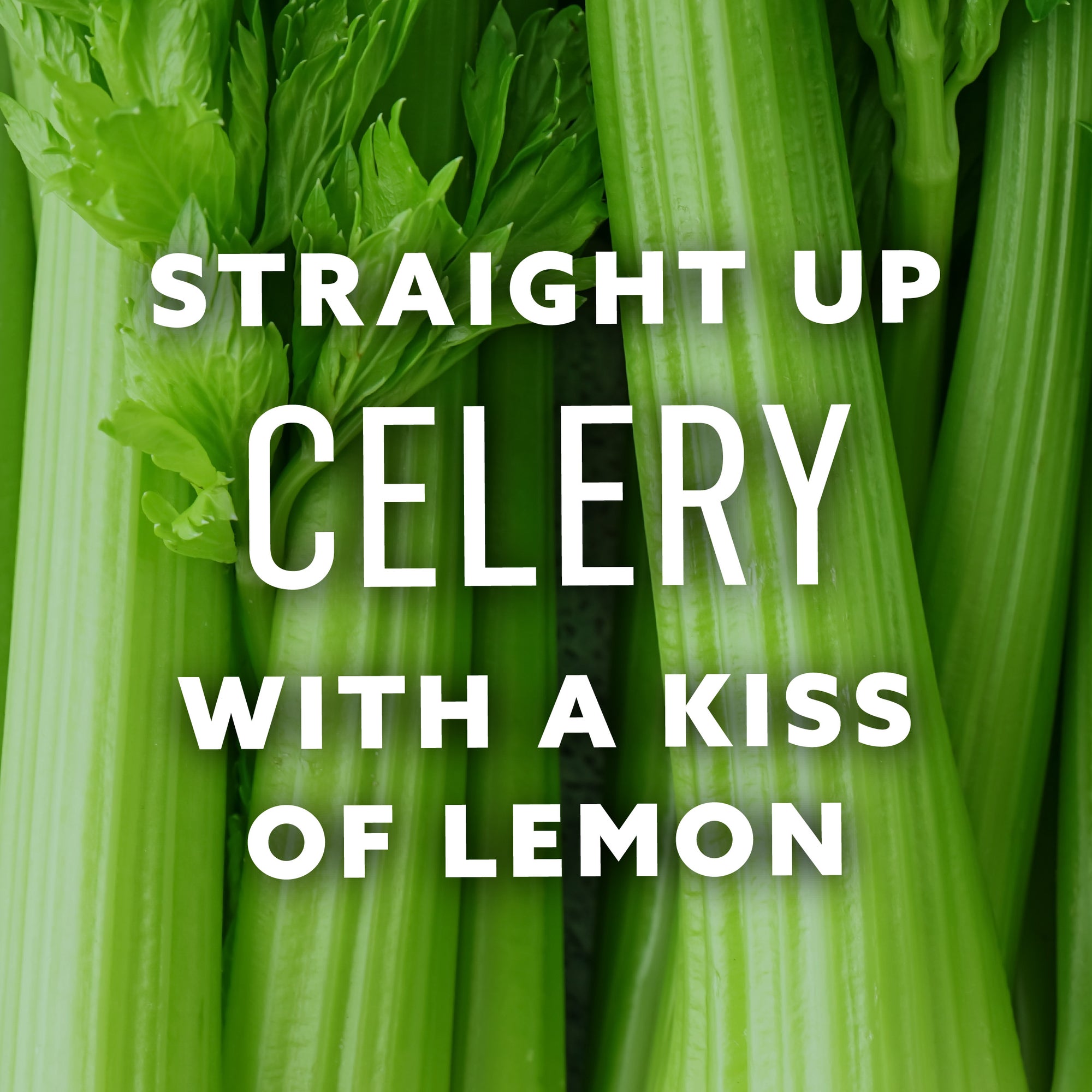 Celery Juice 18-Pack