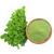 <p>Spirulina & Moringa</p>
