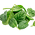 <p>Superfoods like Kale, Spinach & Broccoli</p>