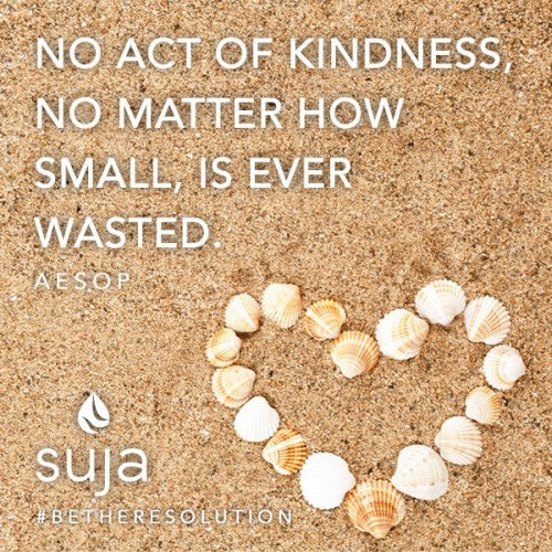 suja kindness graphic