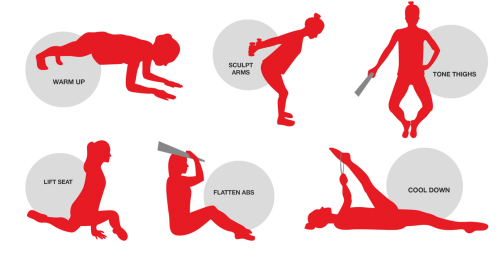 Barre Beginner Positions Infographic